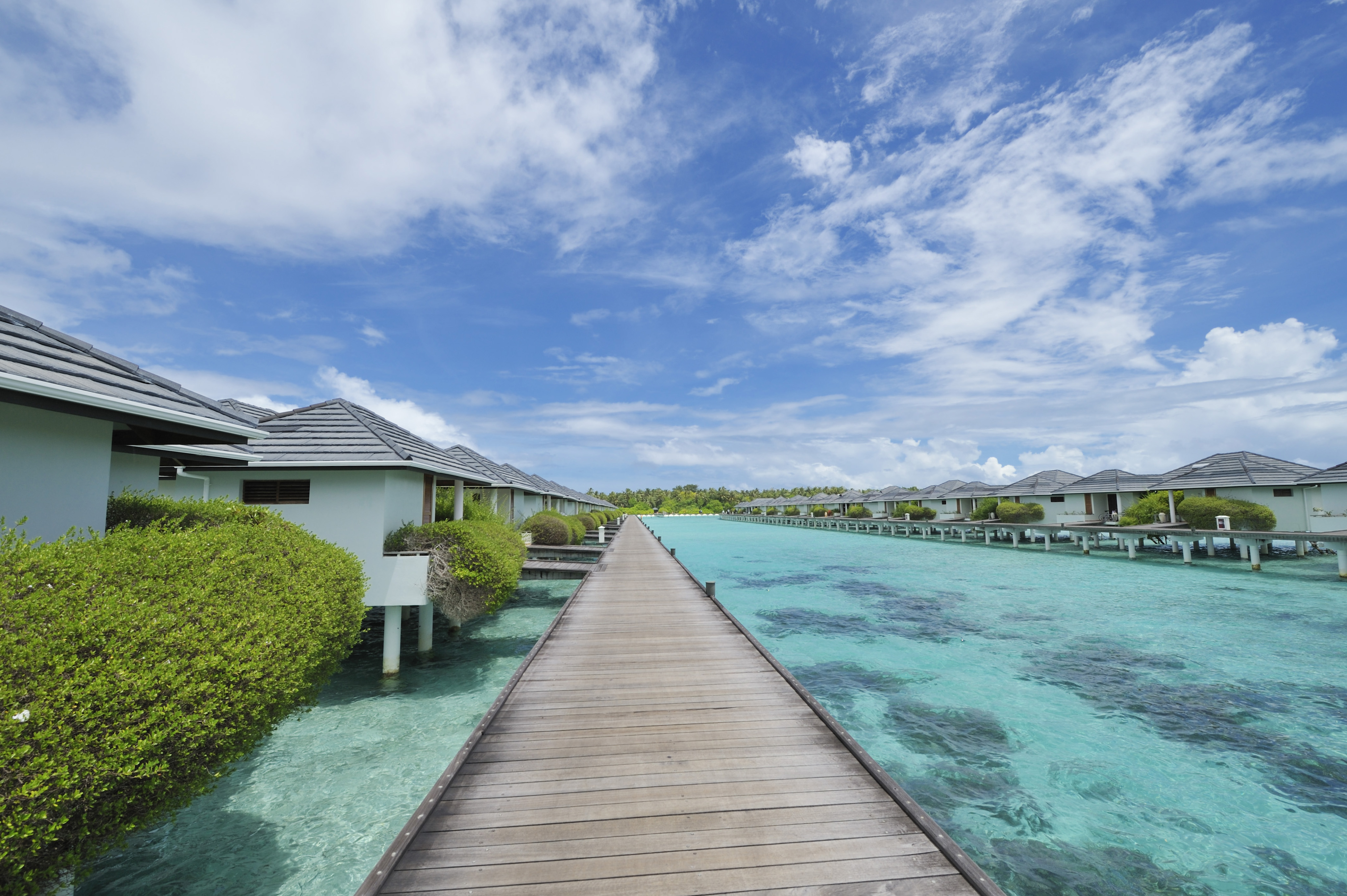Maldives image 2